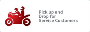 Services Offered